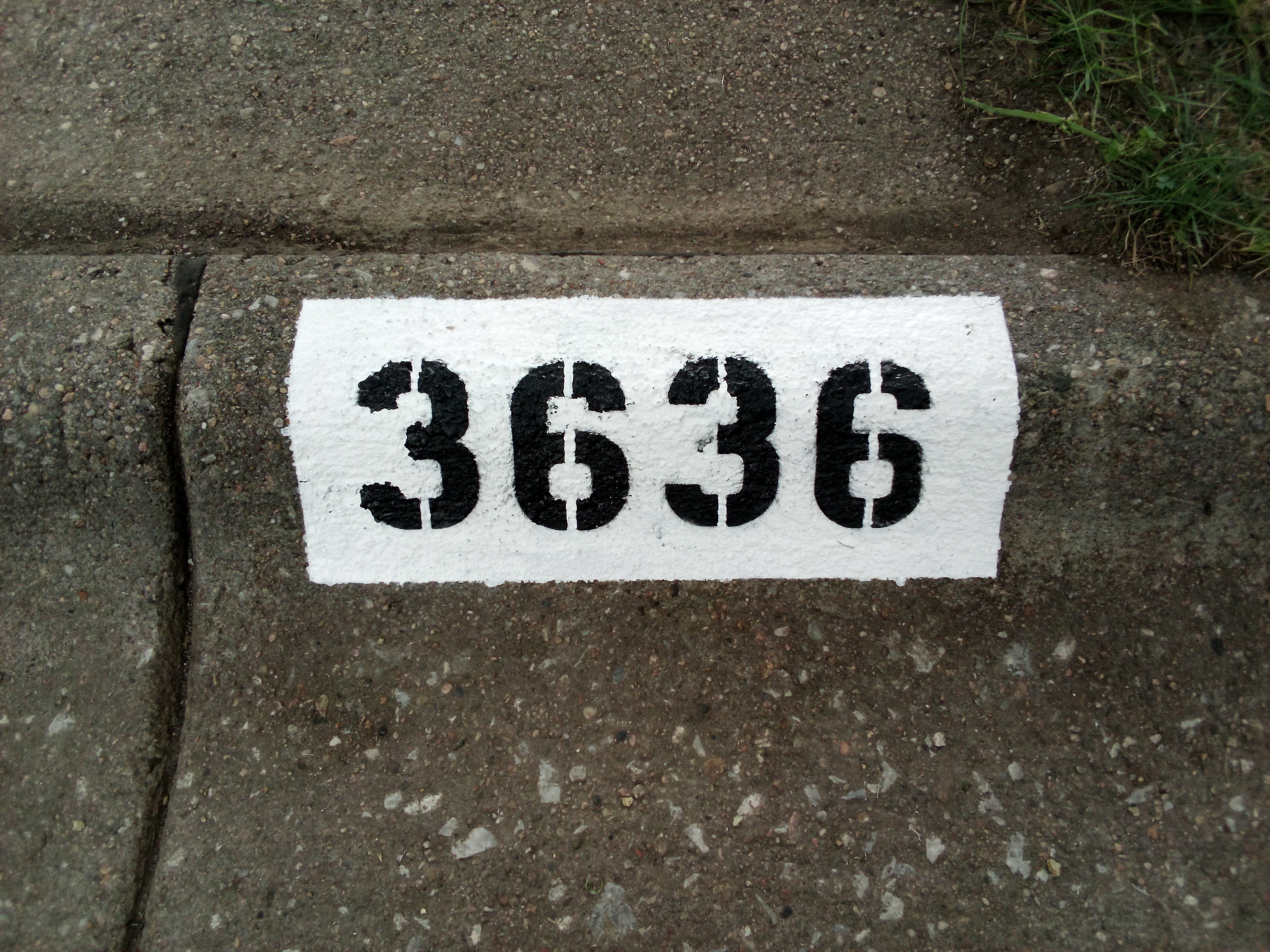 Curb Work 6